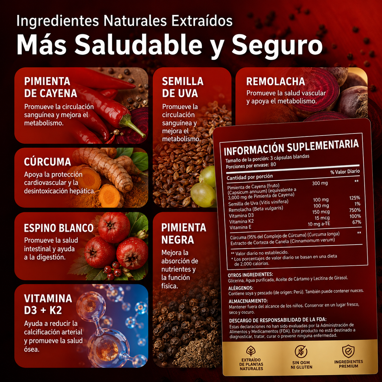 El Avance para el Alivio de la Circulación