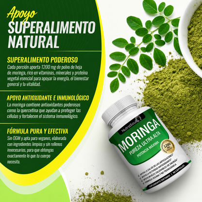 Suplemento De Moringa